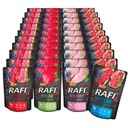 RAFI krmivo pre psov MIX CHUTÍ 40x300g