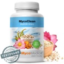 MycoCLEAN MAITAKE huby DETOXIKÁCIA TRÁVANIA