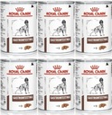 Royal Canin Dog Gastro Intestinal 6 konzerv 400 g