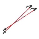 Teleskopické palice na Nordic Walking 65-135 cm