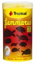 TROPICAL GAMMARUS 500ML/60G