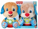 FISHER-PRICE ŠTEŇA STUDENT HCJ17 SKVELÉ