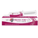 VET PROTECTOR GASTRO - MASLO 60ML