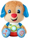 FISHER PRICE HCJ17 Big Puppy Student