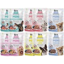 Brit Care Mini MIX 5 PRÍCHUTÍ 10x85g