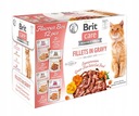 BRIT CARE CAT VRECKA NA MÄSO a rybie filety v omáčke 12x85g