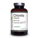 Kenay CHLORELLA YAEYAMA ALGAE 360 tabliet 500 mg JAPONSKÝ