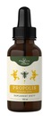 Magic Garden PROPOLIS EXTRAKT 20% 100ml ODOLNOSŤ Nanga