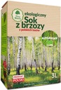 Brezová šťava bez prírodného cukru a Eco Bio Breza