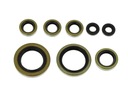 TESNENIA SIMERINGS KTM 450 SX 2003-2006