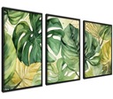 Veľké plagáty na rámy Obrazy Botanika Monstera 50x70