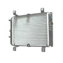 RADIATOR Quad Bombardier DS 250cc OEM!