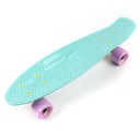 FISHBOARD SKATEBOARD METEOR PLAST