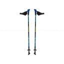 Nordic walking palice Viking Ruten Pro