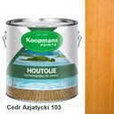 HOUTOLIE TERASOVÝ OLEJ 2,5L 103 ÁZIJSKÝ CÉDR