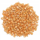 Popcorn 25 kg PREMIUM