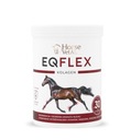 KOLAGÉN 900g NA KĹBY PRE KONE EQFLEX HorseVetAL