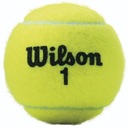 WILSON CHAMPIONSHIP EXTRA DUTY TENISOVÉ LOPTY