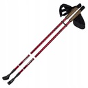 Trekingové palice Nils Extreme Nordic Walking NW802