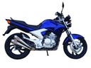 tlmič výfuku IXIL YAMAHA YBR 250 12-13 2-CON