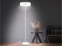 LED STOJNÁ LAMPA, MATNÁ BIELA, 2-BODOVÁ, 145CM