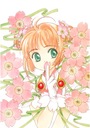 Anime Cardcaptor Sakura ccs_737 A2 (custom) Plagát