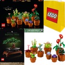 LEGO ICONS VALENTÍNSKA SADA KVETY DARČEKOVÉ MALÉ RASTLINY 10329 + 10281