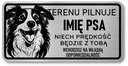 Podpísať pozornosť psa Border Collie psie meno