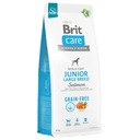 Brit Care bezzrnný Junior veľký losos LOSOS 12 kg pre psov