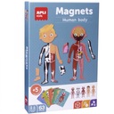 Magnetické puzzle Apli Kids Ľudské telo 5+