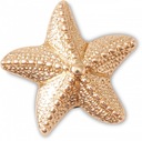 Crocs Jibbitz Pin Gold Star Fish Shoe Pin