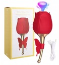 ROSE Flirting Partner USB 10 funkcií