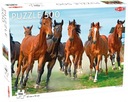 Taktické PUZZLE Kone 500ks