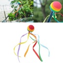 1ks Rainbow Ball Car Antenna Colorful w