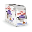 ROYAL CANIN STERILIZOVANÉ MOKRÉ KRMIVO PRE MAČKY 12x85G JELLY