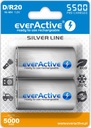 2x NI-MH EVERACTIVE R20 D BATÉRIE 5500 mAh