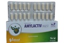 Vetfood Amylactiv Digest 20 kapsúl na trávenie