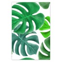 Samolepky 62x93 Monstera Leaves Tropics