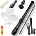 Swan PRO black School Recorder + Púzdro + kazoo + uchopovacie stolíky + čistič