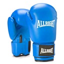 TRAINING PRO 6oz ALLRIGHT TRÉNINGOVÉ BOXERSKÉ RUKAVICE pre deti