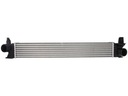 INTERCOOLER THERMOTEC DAF007TT