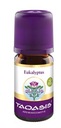 Eucalyptus radiata esenciálny olej BIO 5ml TAOASI