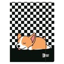 VYSIELANIE A4 S GUMA SLEEPY CORGI BALENIE 10ks