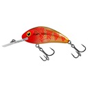 Wobler Salmo Rattlin Hornet F 5,5cm/10,5g GoldenRe