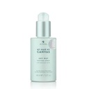 Alterna My Hair My Canvas lak na vlasy 148 ml