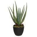 UMELÁ RASTLINA v črepníku KVET ALOE výška 44 cm