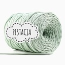 PLOCHÁ POLYESTEROVÁ STRUNKA 8MM PIMOtki - PISTÁCIA