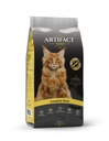 Artefakt Cat Fish Dry Premium Food pre dospelých mačiek 20 kg + zadarmo