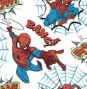 Detská tapeta pre chlapcov SPIDERMAN Marvel 108553