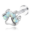 LABRET PAW NÁUŠNICE HELIX TITANIUM OPAL 1,2/8